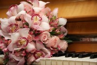 /album/bouquets/a4-jpg2/